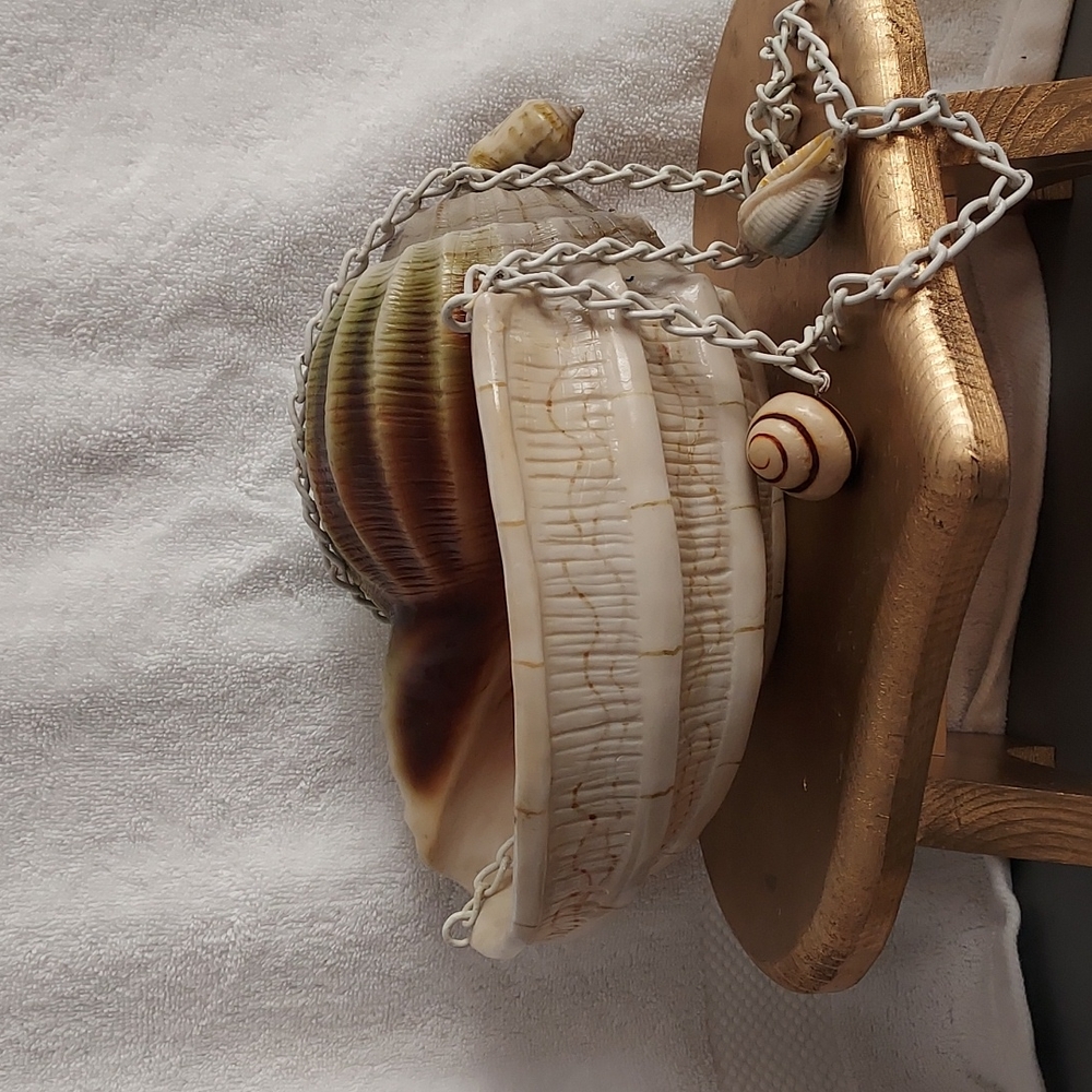 A sea shell hanging planter